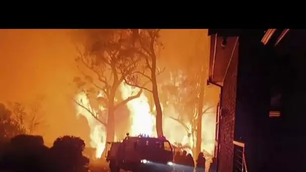 Un troisième pompier volontaire meurt dans les incendies en Australie