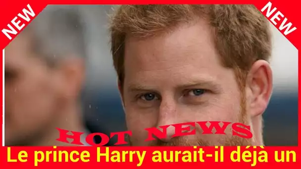 Le prince Harry aurait-il déjà un deuxième royal baby en tête ?