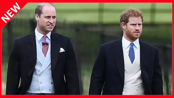 ✅  William et Harry soupçonnés de détournement de fonds : l’embarras de trop pour le fils aîné de Ch