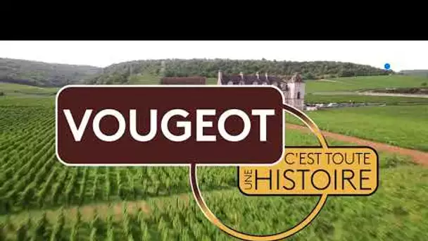 Une ville, son histoire: Vougeot