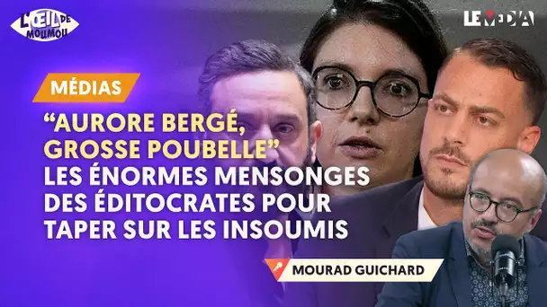 "BERGÉ, GROSSE POUBELLE" HANOUNA, APATHIE, CNEWS : ILS ONT ENCORE MENTIS POUR TAPER SUR LES INSOUMIS