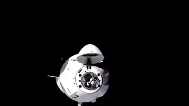 La capsule Dragon de SpaceX s'est arrimée à la Station spatiale internationale