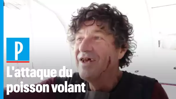 Vendée Globe : Jean Le Cam blessé au visage , percuté par un poisson volant