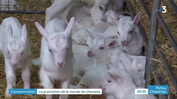 Promotion du chevreau à Celle-Lévescault dans la Vienne