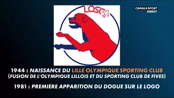 Late Football Club : Pourquoi les joueurs du LOSC sont-ils surnommés les "Dogues" ?