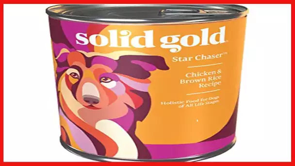 Solid Gold Wet Dog Food for Adult & Senior Dogs - Made with Real Chicken & Salmon - Leaping Waters