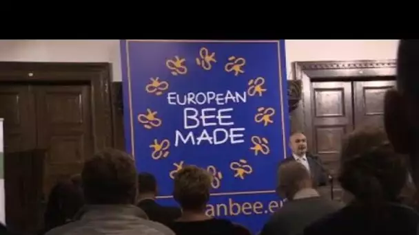 La Hongrie appelle l'UE à protéger ses abeilles et lance du miel 100 % européen