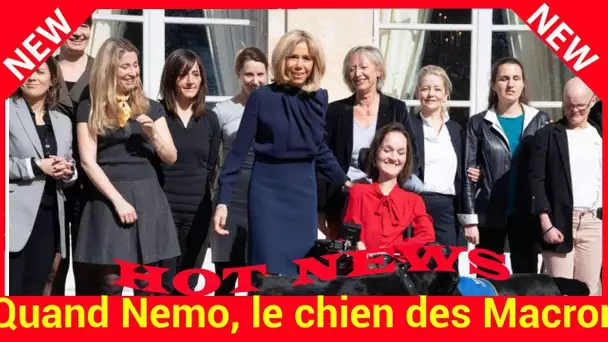 Quand Nemo, le chien des Macron, fait paniquer Sibeth Ndiaye en plein conseil des ministres