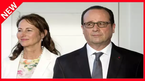 ✅  François Hollande et Ségolène Royal détestés ? « Ils suscitent un rejet persistant »