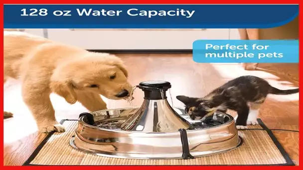 PetSafe Stainless 360 Pet Fountain - 1 Gallon (128 oz) Dog and Cat Water Fountain