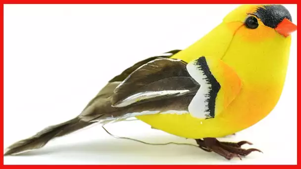 Touch of Nature 20553 American Goldfinch Bird, 4-Inch