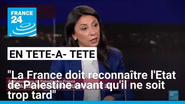 L'ambassadrice de Palestine: "la France doit reconnaître la Palestine avant qu'il ne soit trop tard"