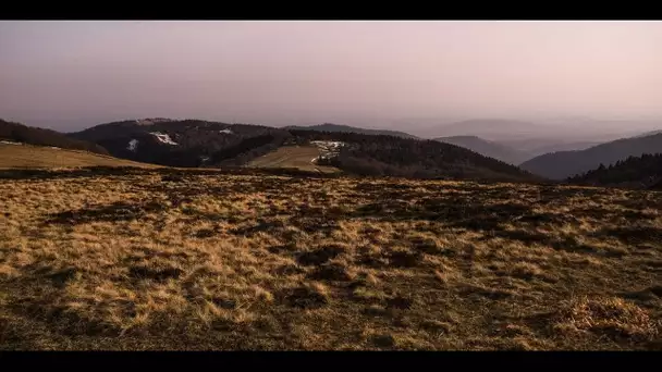 «C'est hallucinant le tout petit filet d'eau qui coule» : dans les Vosges, les habitants face au …