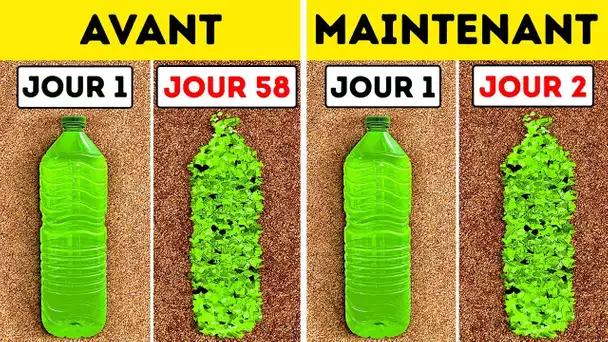 Des Scientifiques Ont Découvert Des Bactéries Mangeuses de Plastique