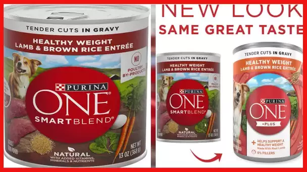 Purina ONE +Plus Natural Wet Dog Food Gravy, Tender Cuts Healthy Weight Lamb and Brown Rice Entree