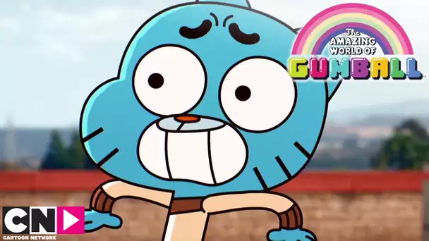 Les Pétales | Le Monde Incroyable de Gumball | Cartoon Network