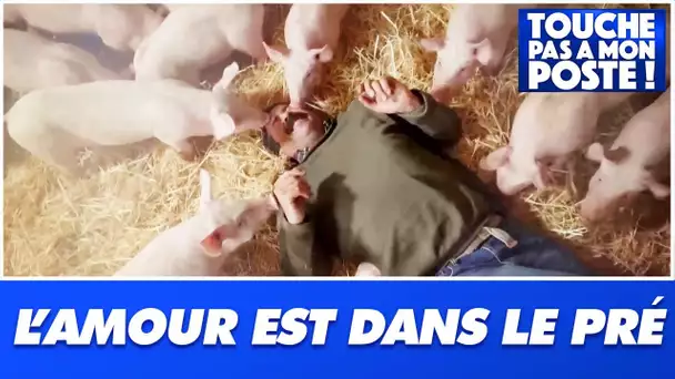 L'amour est dans le pré : l'émission fait-elle du mal à l'image des agriculteurs ?