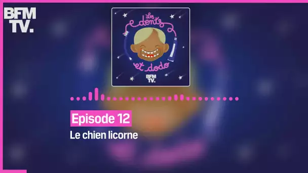 Episode 12 : Le chien licorne - Les dents et dodo