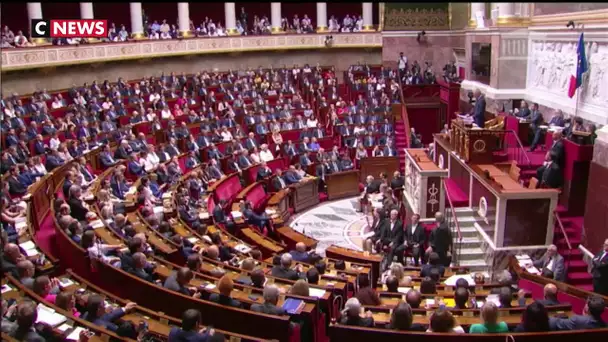 Réforme des retraites : l'article 49.3 de la Constitution, mode d'emploi