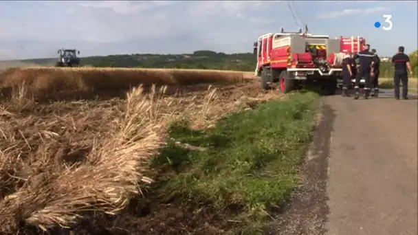 Plombières-lès-Dijon : un champ de blé a pris feu