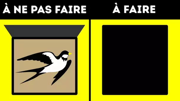 Que faire lorsque tu trouves un oiseau dans la rue ?