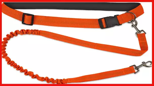 Furhaven Pet Leash for Dogs and Puppies - Trail Pup Hands-Free Waist Belt Training Bungee Dog Leash