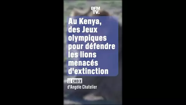 Le choix d'Angèle - Au Kenya, des Jeux olympiques pour défendre les lions, menacés d'extinction