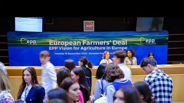 Le Parti populaire européen soigne l’électorat agricole