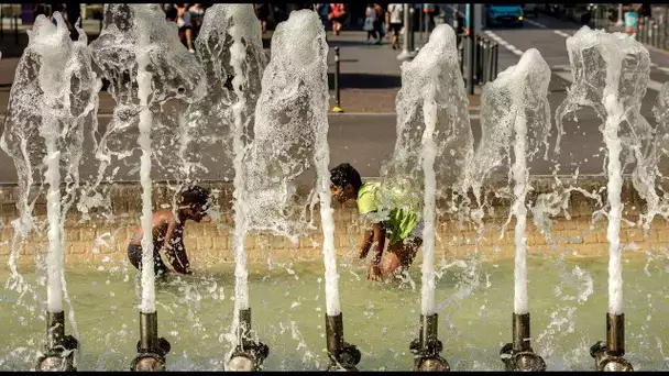 Canicule : les Lillois recherchent la fraîcheur par tous les moyens