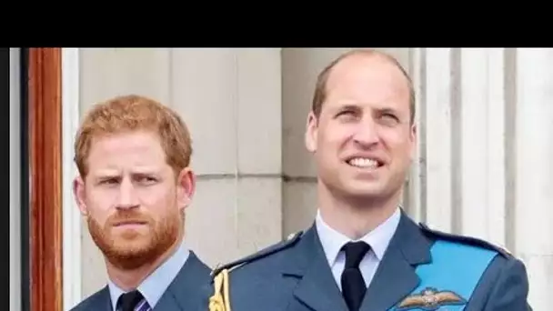 Le geste du prince Harry montre qu'il "se sent supérieur à William"