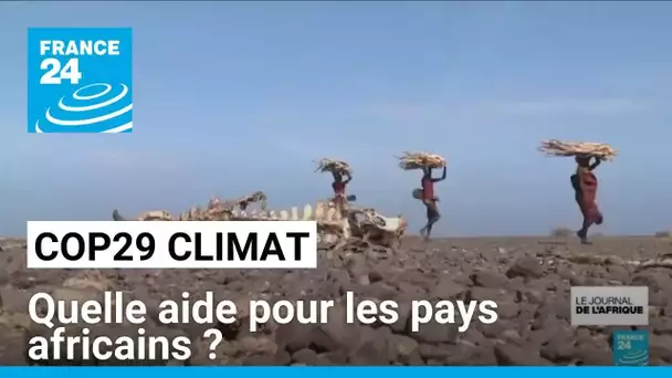 Financement climat à la COP29 : quelle aide pour les pays africains ? • FRANCE 24