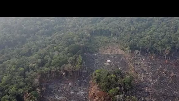 Les feux en Amazonie au sommet du G7, polémique entre Macron et Bolsonaro