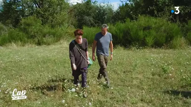 Cap Sud Ouest: Creuse Vallée des Peintres ,Marjorie Méa (extrait)