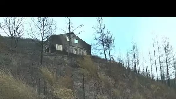 Comment le Portugal a-t-il réussi à réduire le nombre d'incendies en seulement six ans ?