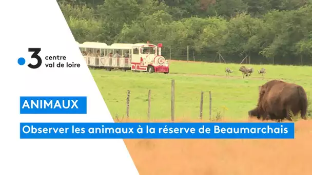 Touraine : la réserve Beaumarchais pour approcher au plus près des animaux