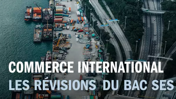 Les révisions du bac ES : le commerce international - Entendez-vous l&#039;éco ?