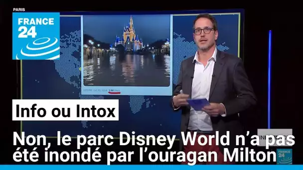 Non, le parc Disney World n’a pas été inondé par l’ouragan Milton • FRANCE 24