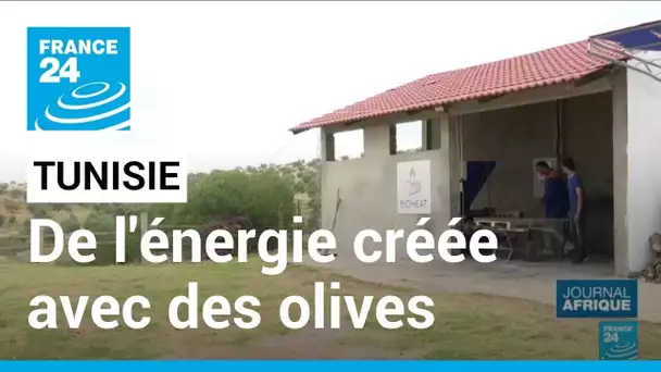 Tunisie : de l'énergie créée avec des olives • FRANCE 24