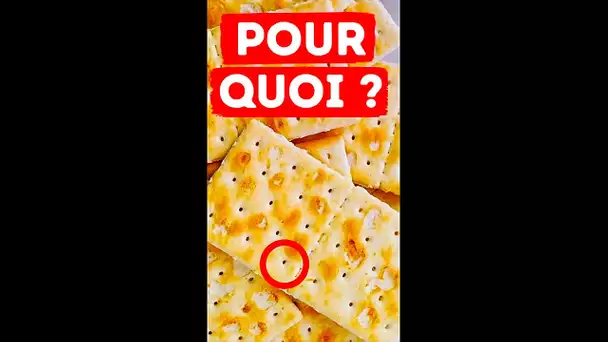 La Raison Étonnamment Intéressante Pour Laquelle Les Crackers Ont Des Trous #short