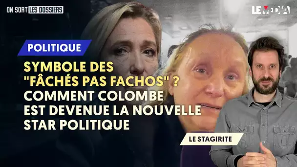 SYMBOLE DES "FÂCHÉS PAS FACHOS" ? COMMENT COLOMBE EST DEVENUE LA NOUVELLE STAR POLITIQUE