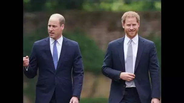 William et Harry : leur échange étonnant devant la statue de Diana