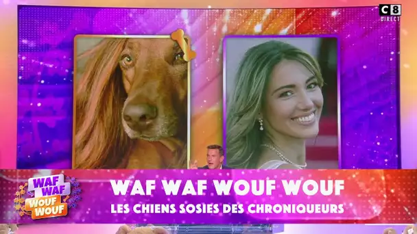 Les chiens sosies des chroniqueurs !