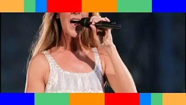 Céline Dion : Son sosie victime de moqueries, une ressemblance qui ne saute pas aux yeux