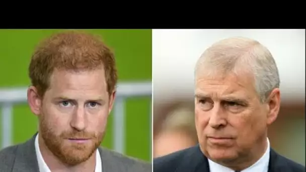 Le prince Harry et le prince Andrew ont été confrontés à l'embarras royal avec la rangée de couronne