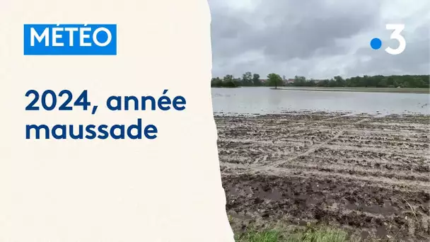 Les agriculteurs impactés par les aléas climatiques