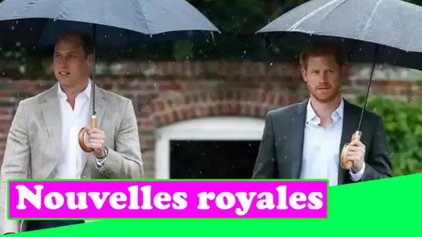 William prétend être annulé lors de la sortie royale de Harry: "Personne n'essaie de remplacer Diana