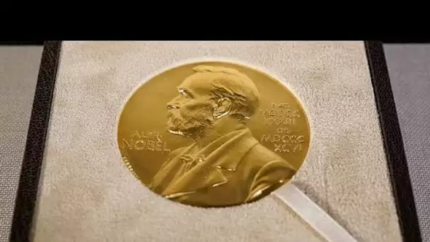 Le prix Nobel de physique attribué à John Hopfield et Geoffrey Hinton