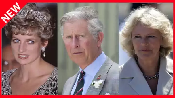 ✅  Diana pas dupe de l’histoire entre Camilla et Charles