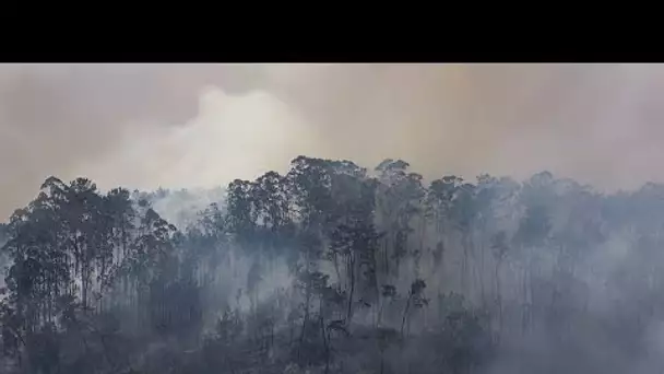 Le Portugal et la France toujours en proie aux flammes