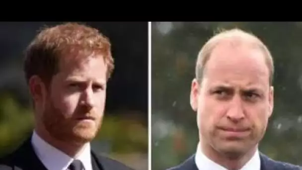 Le prince Harry `` enfonce un coin avec un marteau '' grâce à sa relation avec le prince William